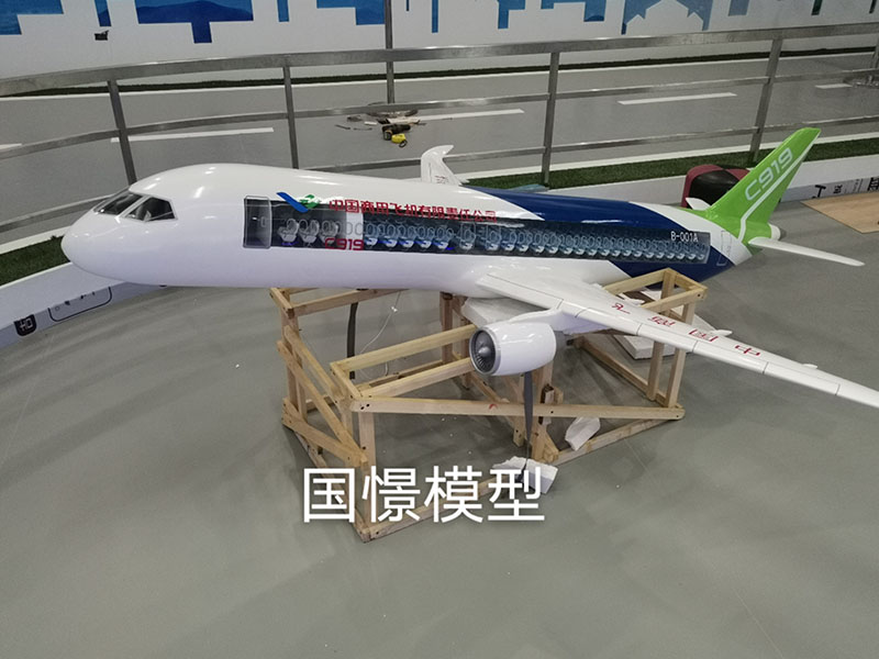 昌宁县飞机模型
